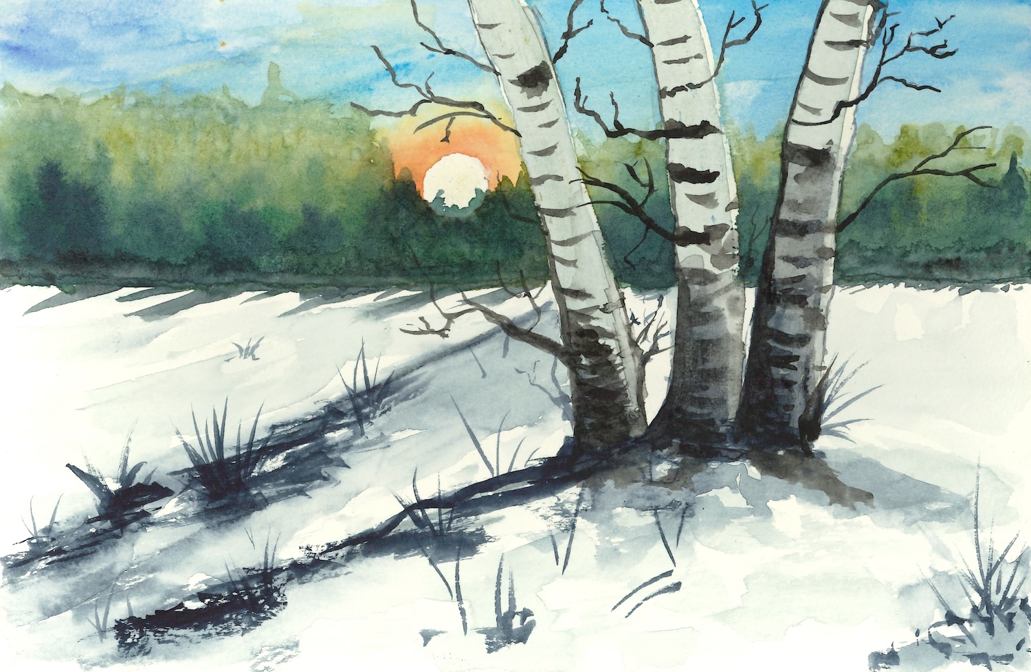 Original watercolor painting of birch trees in winter snow at sunset; featuring white bark textures, long blue shadows, and a forest landscape background.